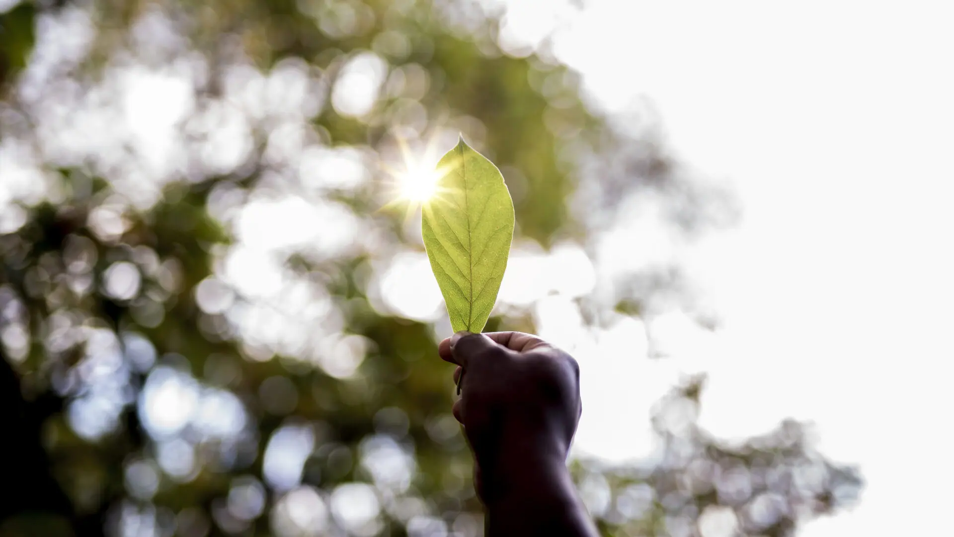 Ambiente e sostenibilità