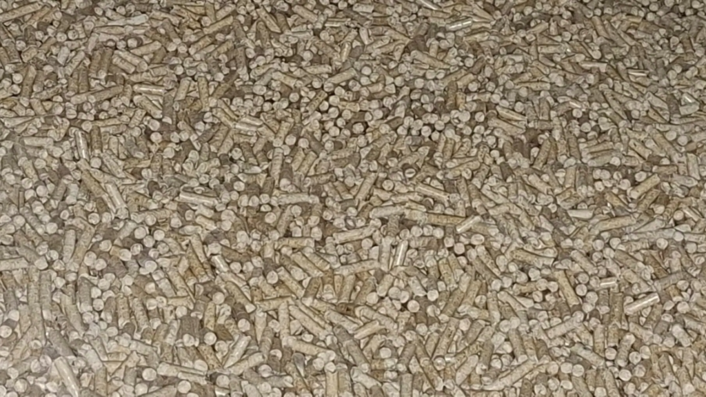 Pellet da una caldaia a biomassa legnosa